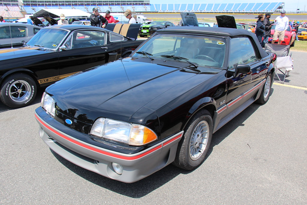 mustang1
