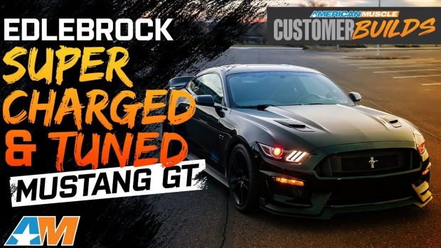 mustang