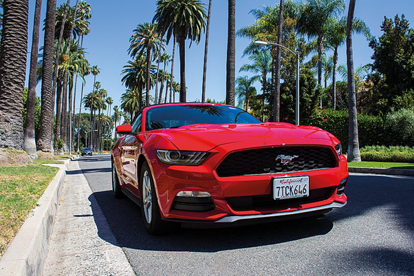 mustang2