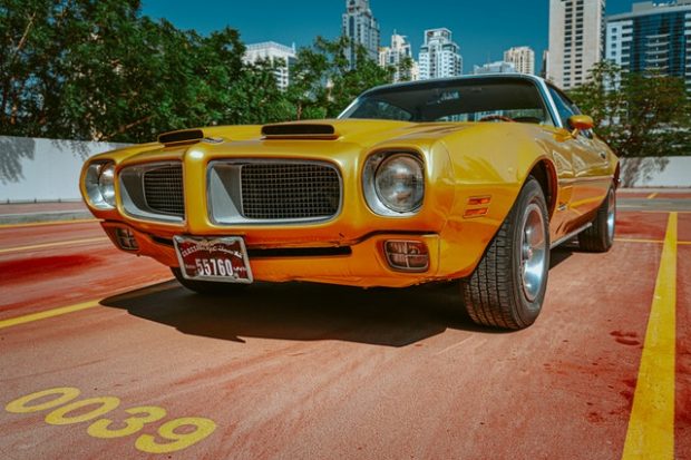 firebird